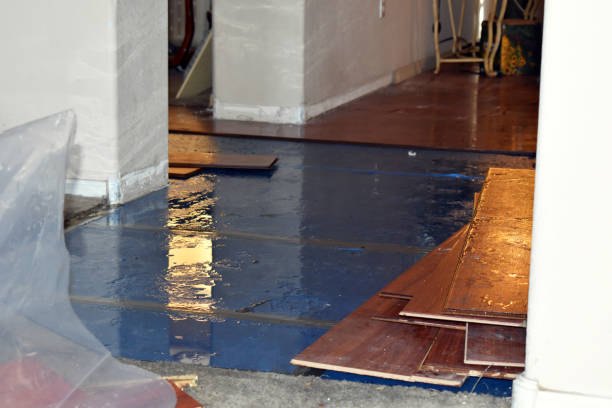 Professional Basement Flood Cleanup technician working in Weston, CO